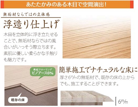 ピノアース.jpg