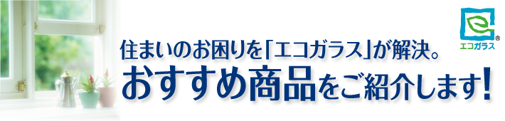 おすすめ商品をご紹介します！